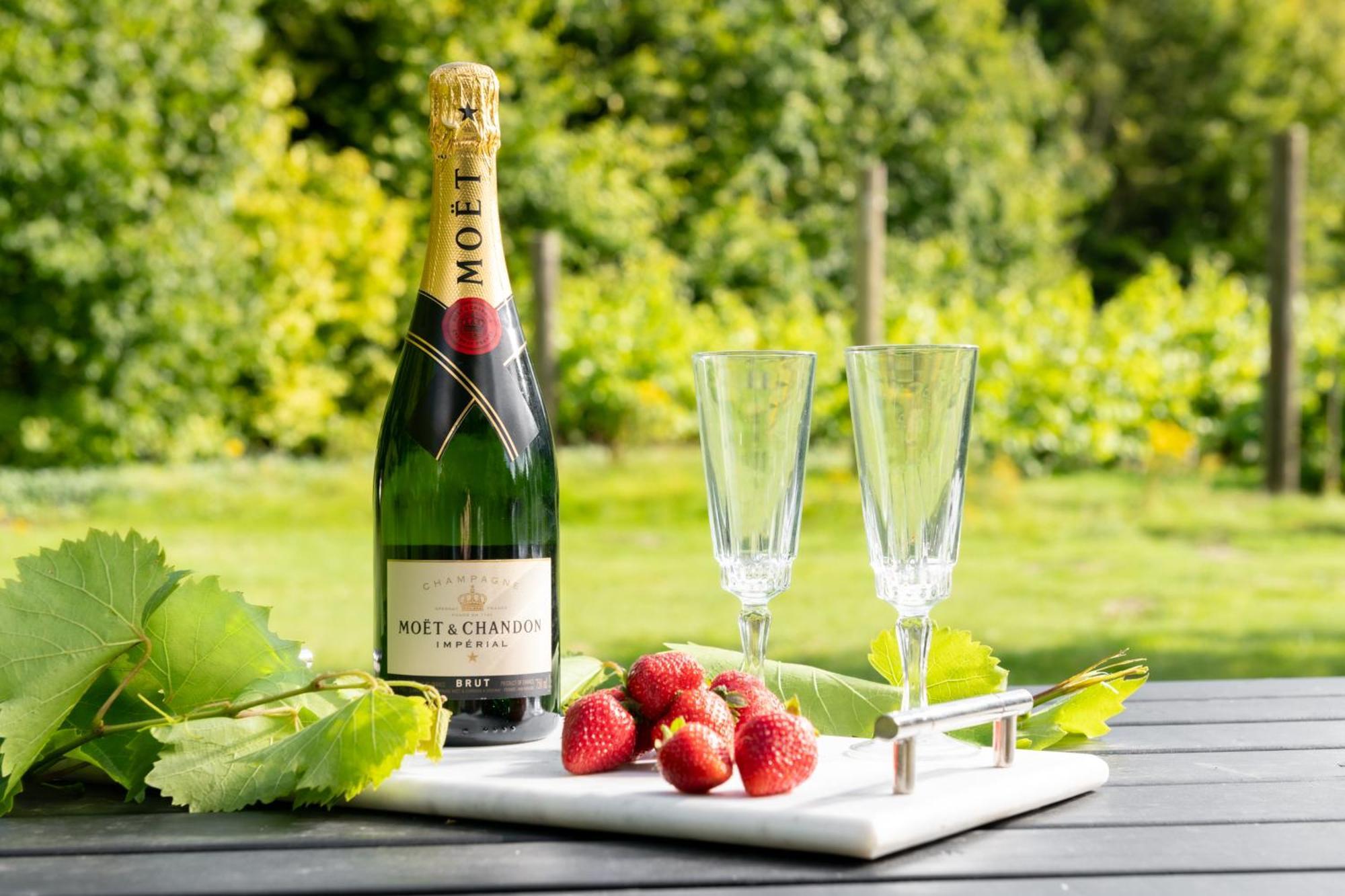 Downwood Vineyard Manor In Idyllic Countryside Βίλα Blandford Forum Εξωτερικό φωτογραφία
